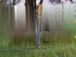 'Whale Tail'n Vol. 2' screenshot nº 113