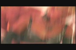 'All Net' screenshot nº 10