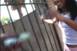 Captura de 'Light Skin'Ded Black Babes 2' nº 121