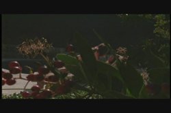 'Tom Foolery' screenshot nº 82