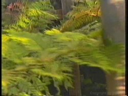 'Adventures of Seymore Butts, The' screenshot nº 22