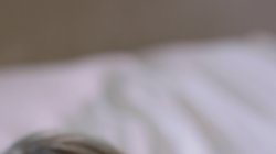 Captura de 'Anal Threesomes Vol. 8' nº 73