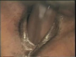 Captura de 'AfroCentrix Volume 50 - Mad Man Mark Anthony' nº 92