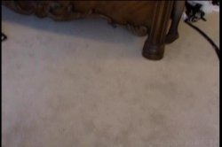 'Strap-On Maids' screenshot nº 107