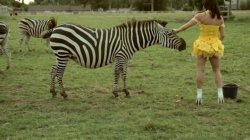 Captura de 'Madison's Mad Mad Circus, The' nº 8