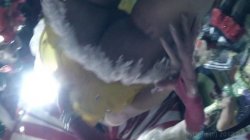 Captura de 'Madison's Mad Mad Circus, The' nº 81