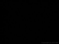 'BBBW 12' screenshot nº 6