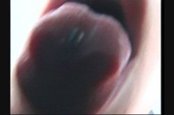 Captura de 'Delicious Big Tits Vol. 3' nº 126