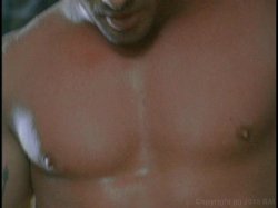 Captura de 'Vivid Superstars: Dayton' nº 54