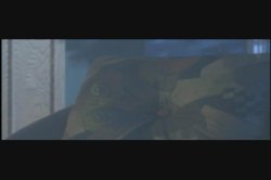 Captura de 'Dawn' nº 119