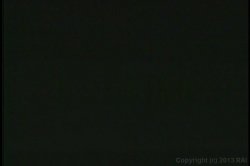 'Paper Tiger' screenshot nº 4