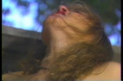 'Paper Tiger' screenshot nº 45