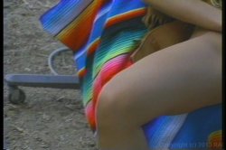 'Paper Tiger' screenshot nº 50