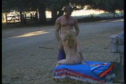 'Paper Tiger' screenshot nº 71