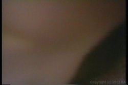 'Paper Tiger' screenshot nº 82