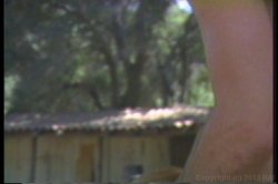 'Paper Tiger' screenshot nº 108