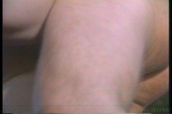 'Paper Tiger' screenshot nº 114