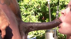 'Black On White Going Wild Anal Volume 7' screenshot nº 62