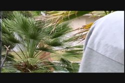 'Nameless' screenshot nº 38