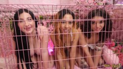 'Pink Room Ep 13: Three Cum Hungry Whores Earn a Huge Load' screenshot nº 37