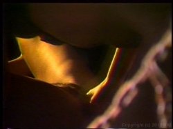 Captura de 'Leather Bound Dykes From Hell 2' nº 67