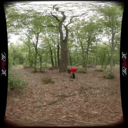 'The Porn Side of the Story' screenshot nº 2