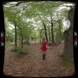 'The Porn Side of the Story' screenshot nº 6