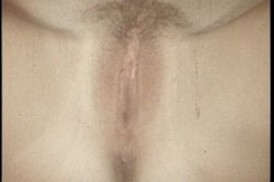 Captura de 'Golden Age of Porn, The: Young Seka' nº 18