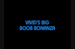 'Big Boob Bonanza' screenshot nº 1