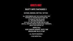 Captura de 'Busty Wife Fantasies 5' nº 1