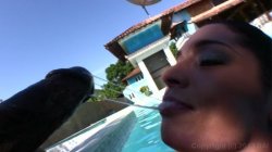 Captura de 'Booty I Like 6' nº 130