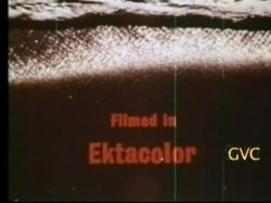 Captura de 'Good Fairy / Ensena Pickup - Double Feature' nº 2