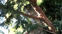 'Versaute Amateure 3' screenshot nº 7