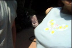 Captura de 'Just Off the Bus' nº 62