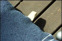 Captura de 'Just Off the Bus' nº 9