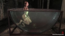 'Water Bondage - Featuring Sabrina Fox' screenshot nº 129