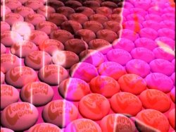 'Chocolate Ass Candy 6' screenshot nº 1