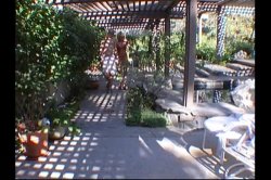 'Boy Meats Girl 9' screenshot nº 66