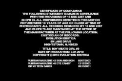 'Boy Meats Girl 9' screenshot nº 1
