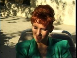 'Delegate, The' screenshot nº 33