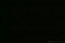 Captura de 'Boobsville Black Beauties 2' nº 105