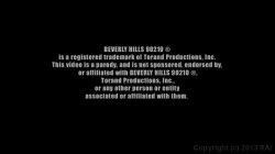 Captura de 'This Ain't Beverly Hills 90210 XXX' nº 1