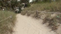 Captura de 'Fuckin' Around In South Beach 4' nº 36