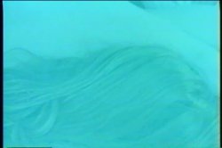 Captura de 'Classic All Star Plumpers' nº 127