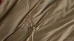 Captura de 'Sinful Sensations: Big Ass Edition' nº 2