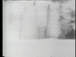'Beaver Hunt 1' screenshot nº 1