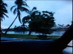 'Deep Throat' screenshot nº 5