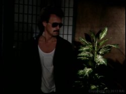'Chameleon' screenshot nº 117