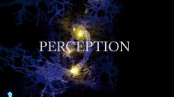 Captura de 'Perception' nº 2