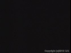 Captura de 'Sluts of the Nyle 4: Anal Sluts' nº 67